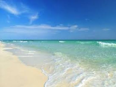 Siesta Key Home 888113